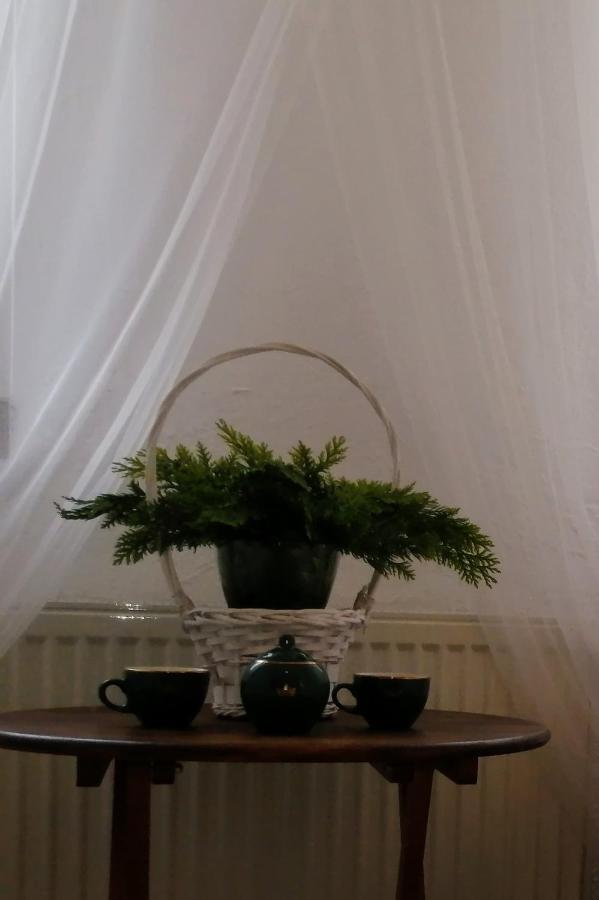 Apartmán Glebia Dąbrówno Exteriér fotografie